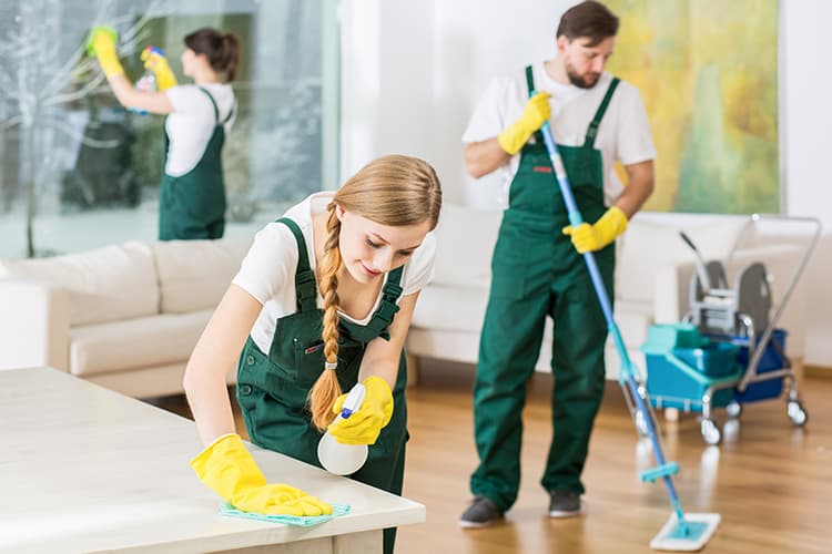 House Cleaning Services 