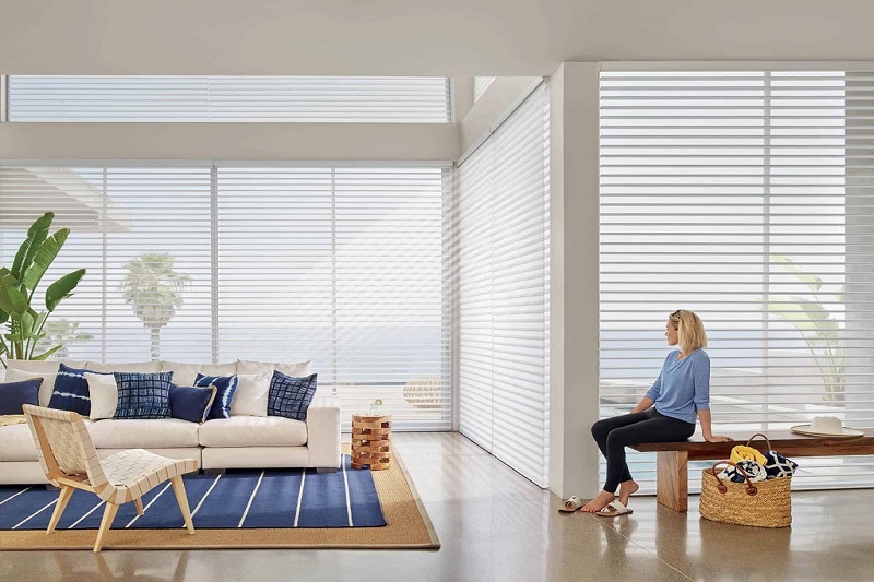 Blinds-for-Your-Home (1)